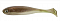 ADUSTA PENTA SHAD 4"