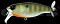 DEPS BUSS JET JR