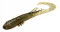 BAIT BREATH BETANCO SLIM CURLY 2.5"