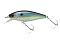 JACKALL CHUBBLE SR