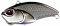 VALKEIN LI-WORM