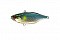 JACKALL SKULL SHELL TN70 MARUHATA