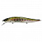 MEGABASS VISION ONETEN SF