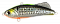 LONGIN FUNKEY DART 55