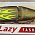 DAIWA MORETHAN LAZY FASHED J 100S