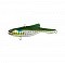 PAZDESIGN REED DIBULE 65TG