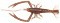 VAGABOND V-ALIVE CRUST BUG 4.5"