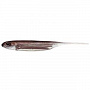 Силиконовая приманка FISH ARROW FLASH J-4 японское качество от производителя FISH ARROW