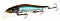 MEGABASS VISION ONETEN SF