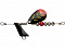 D-3 CUSTOM LURES FORWARD SPINNER 3.8G