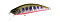 DUO SPEARHEAD RYUKI 51S AWABI