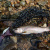 Подсак YAMANAMI LANDING NET GRACE японское качество от производителя YAMANAMI