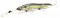 MEGABASS VISION ONETEN R +3
