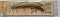 HORIMOTO MAGIC NEW GLEE DRAMATIC WILD FISHING SIZE 8