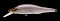 MEGABASS X-80 TRICK DARTER