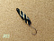 RIVER OLD SATELLITE VIPER 3.2G