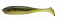 ADUSTA PENTA SHAD 4"