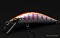 RAY TUNE DUPLEX DP45RS
