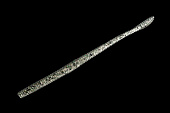 Силиконовая приманка JACKALL COBRA TAIL 4.8 японское качество от производителя JACKALL