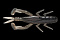 JACKALL DRAGON BUG 3