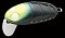NORIES CRANKIN' BOSS PUPA SHALLOW