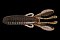 JACKALL COVER CRAW 3