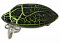 SMITH CAMENUSI