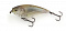 IMAKATSU GEKIASA FLAT