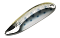 SMITH D-S LINE 5G 45MM
