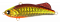 LONGIN FUNKEY DART 66