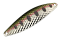 SMITH EDGE DIAMOND 4.7G