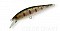ZIP BAITS RIGGE FLAT 50S