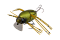JACKALL CHUBBY BUG 35