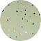MAJOR CRAFT PARA WORM GRUB 1.3"