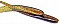 TH TACKLE TOMO MINNOW 3.3"