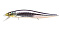 MEGABASS VISION ONETEN JR. SW
