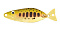 FIELD HUNTER MANIA 10G
