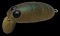 NORIES CRANKIN' BOSS PUPA SHALLOW