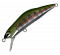 IVYLINE T-GRAVITS 50S