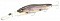 MEGABASS VISION ONETEN R +3