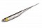 O.S.P. MYLAR MINNOW 2.5"