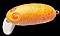 NORIES CRANKIN' BOSS PUPA SHALLOW