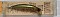 HORIMOTO MAGIC NEW GLEE DRAMATIC WILD FISHING SIZE 8