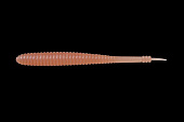 Силиконовая приманка JACKALL I SHAD LC 4.8 японское качество от производителя JACKALL