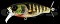 DEPS BUSS JET JR