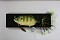 TH TACKLE LITTLE ZOE JOINTED