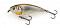 IMAKATSU GEKIASA FLAT