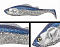 ADUSTA PICK TAIL SWIMMER 6"