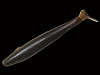 Силиконовая приманка GAN CRAFT BARIKI SHAD 4.8 японское качество от производителя GAN CRAFT
