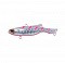 PAZDESIGN REED DIBULE 65TG